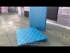 EPPの泡の対面記入項目の低温貯蔵プラスチック パレットは直面されて選抜する