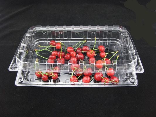 Ecoの友好的で使い捨て可能で明確なプラスチックまめのプラスチック包装箱500g